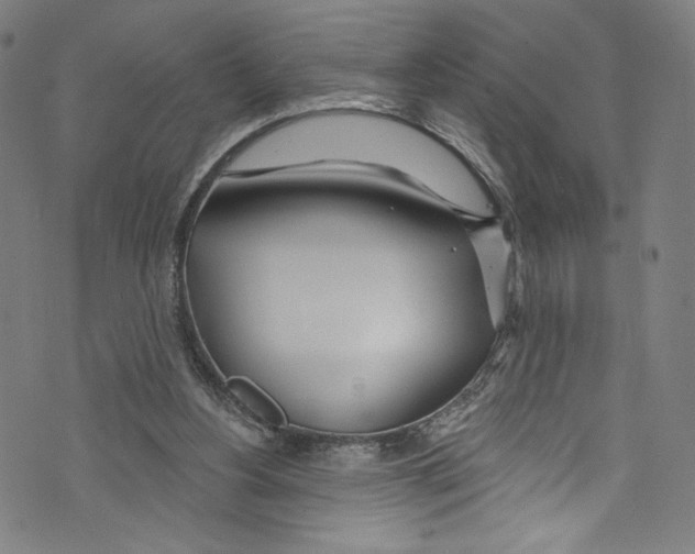 X0000072990156200608211524