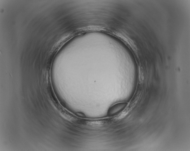 X0000072990157200608211524