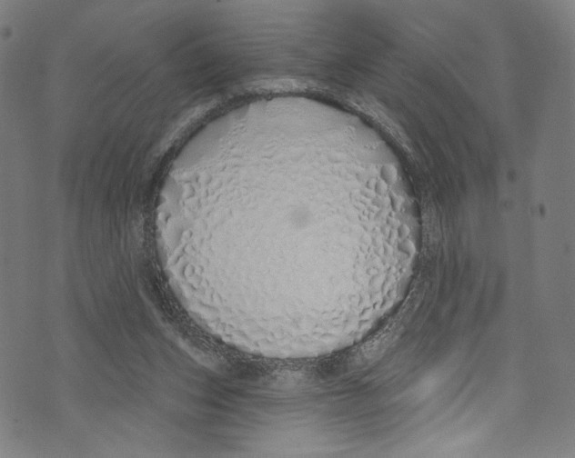 X0000072990159200608211524