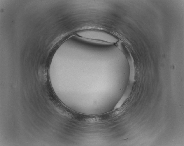 X0000072990160200608211525