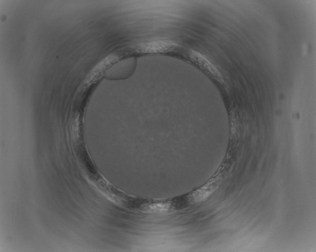 X0000072990163200608211525