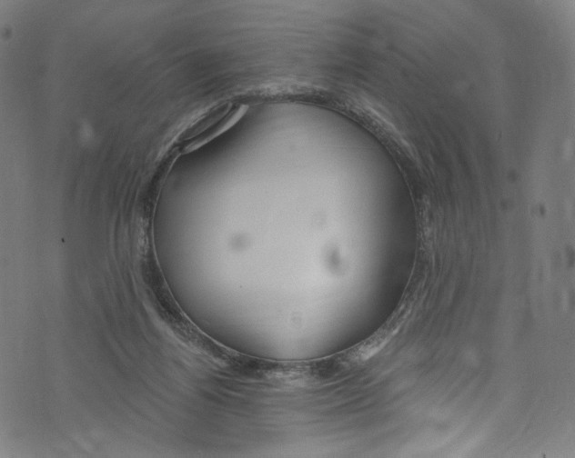 X0000072990164200608211525