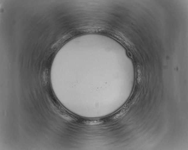 X0000072990165200608211525