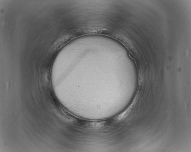 X0000072990166200608211525