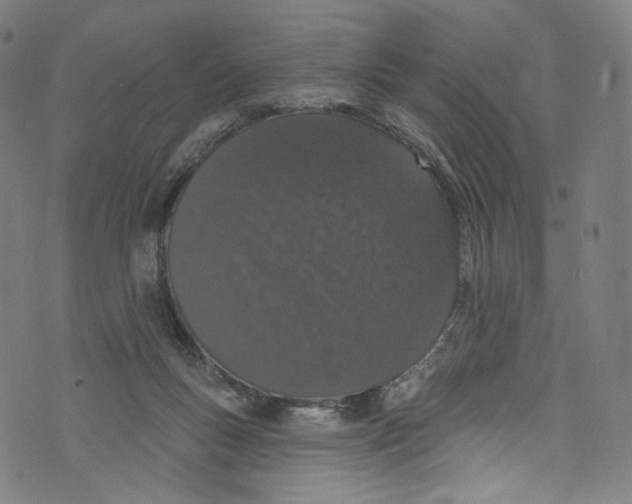 X0000072990167200608211525