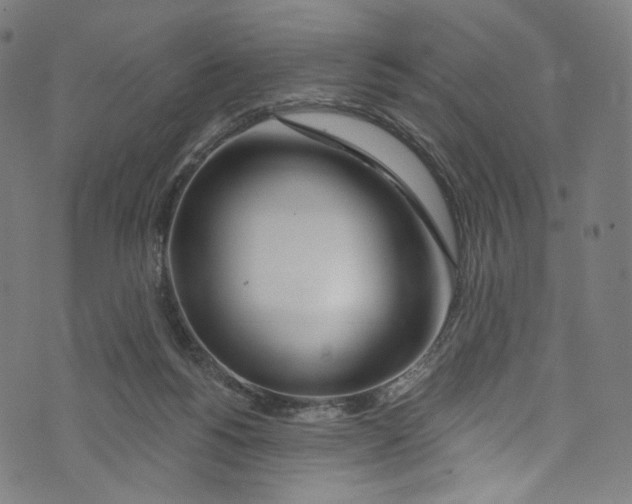 X0000072990168200608211525