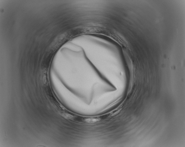 X0000072990169200608211525