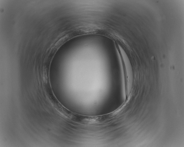 X0000072990170200608211525