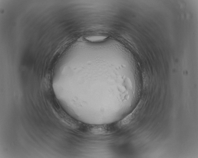 X0000072990171200608211525