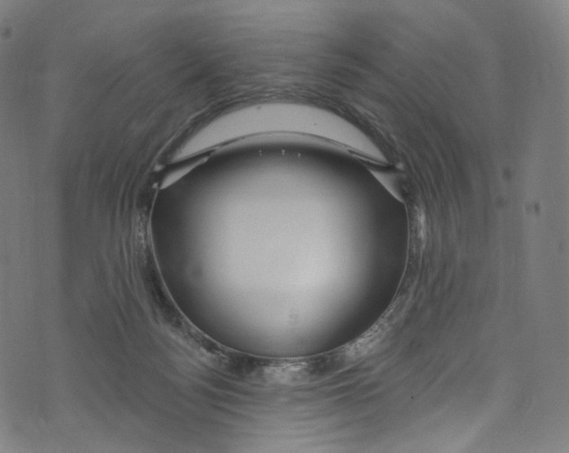 X0000072990172200608211525