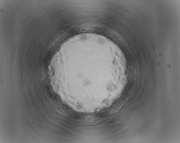 X0000072990173200608211525