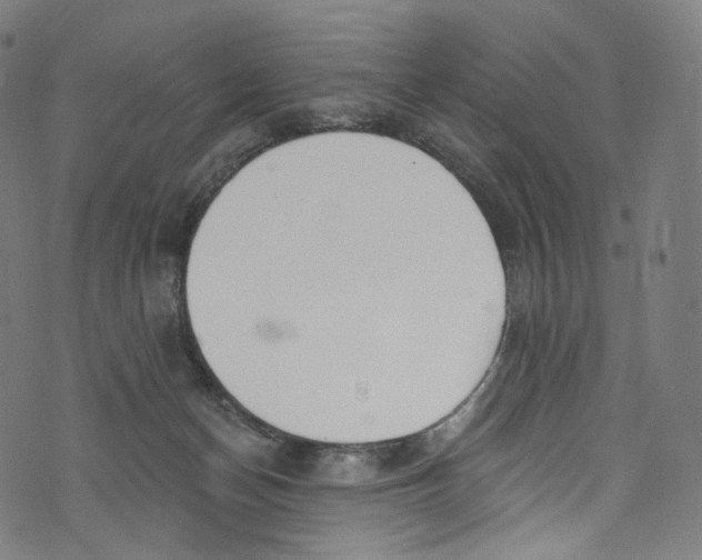 X0000072990174200608211525