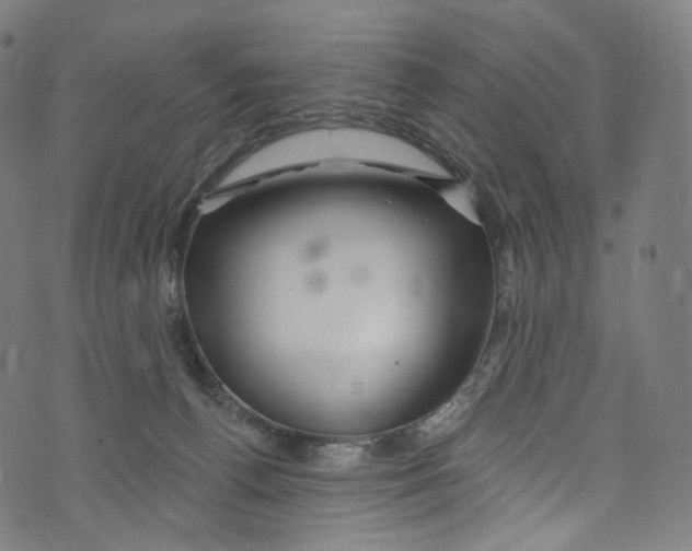 X0000072990176200608211525