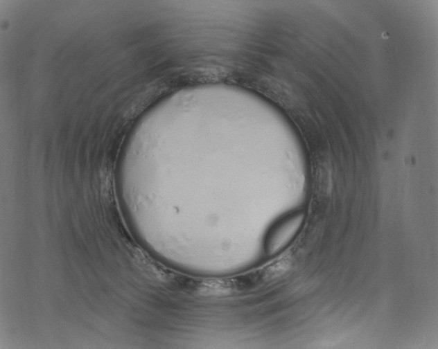 X0000072990177200608211525