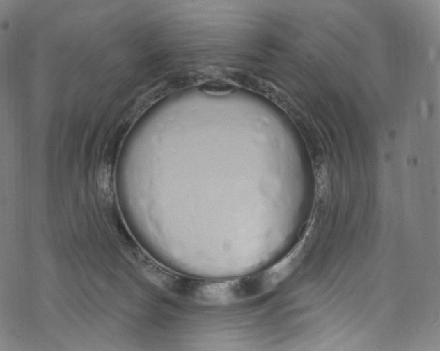 X0000072990178200608211525