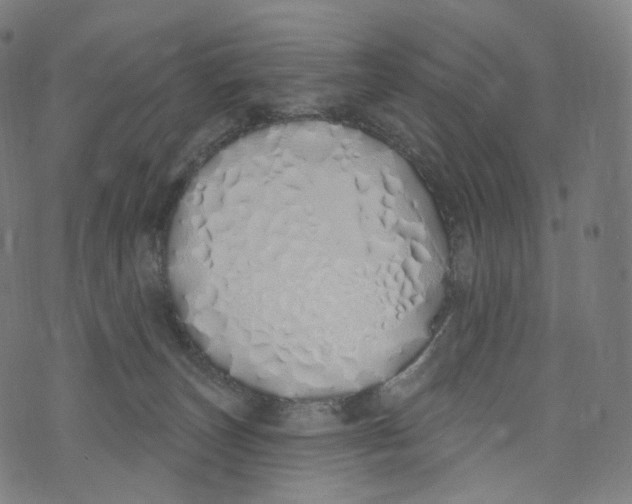 X0000072990179200608211525