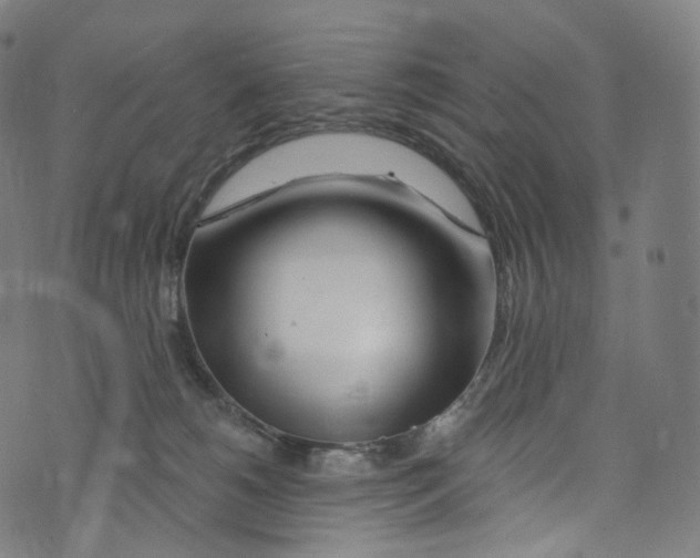 X0000072990180200608211525