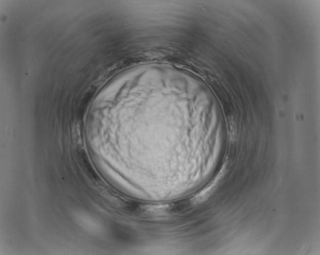 X0000072990182200608211525