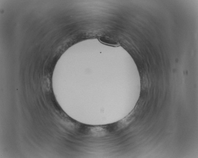 X0000072990183200608211525