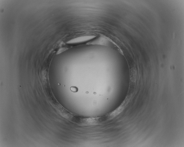 X0000072990184200608211525