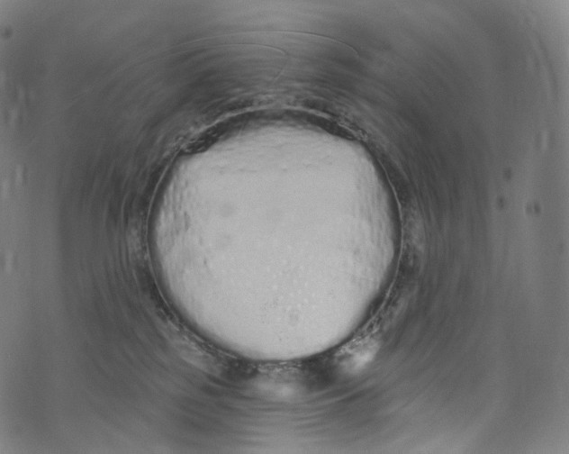 X0000072990185200608211525