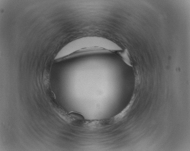 X0000072990186200608211525