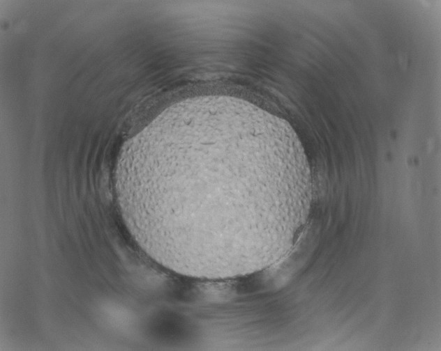 X0000072990187200608211525