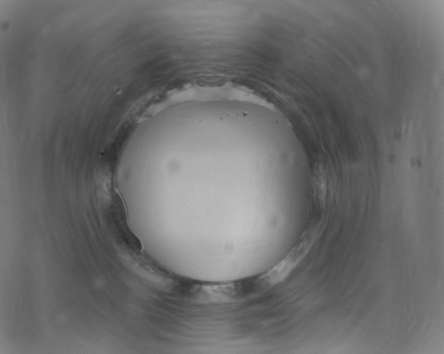 X0000072990188200608211525