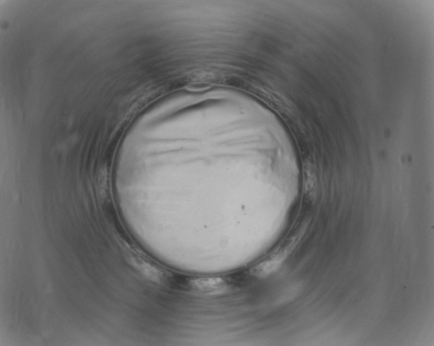 X0000072990189200608211525