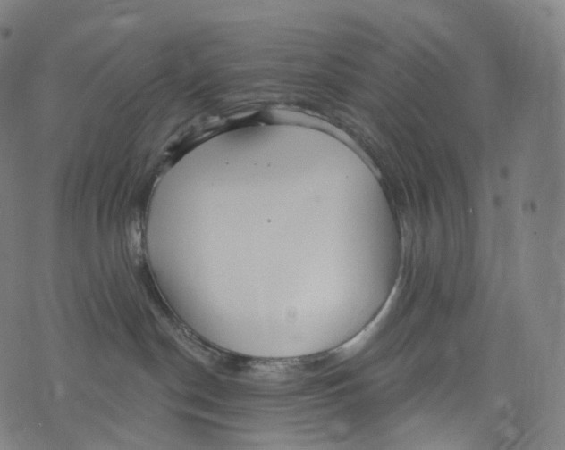 X0000072990190200608211525