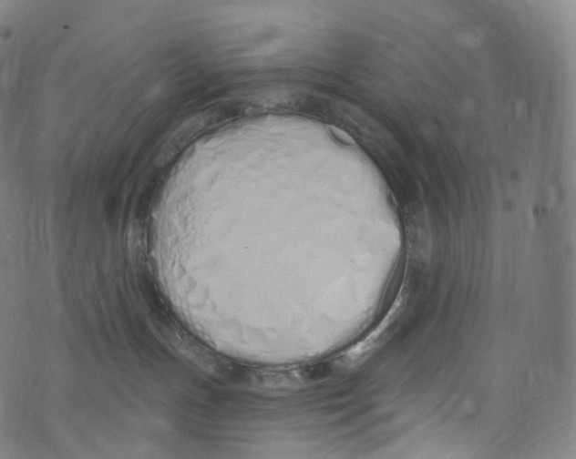 X0000072990191200608211525