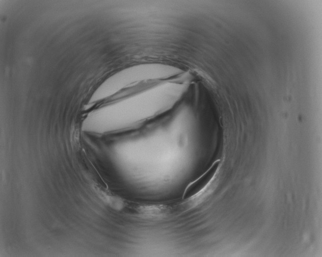 X0000072990192200608211525