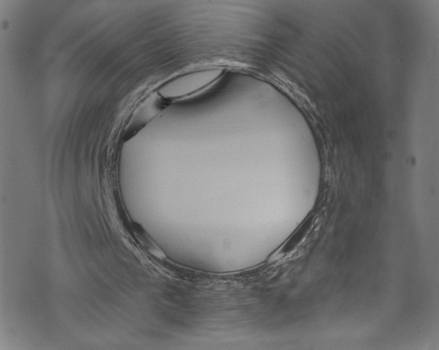 X0000072990193200608211524