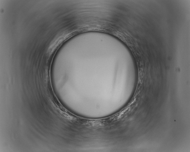 X0000072990194200608211524