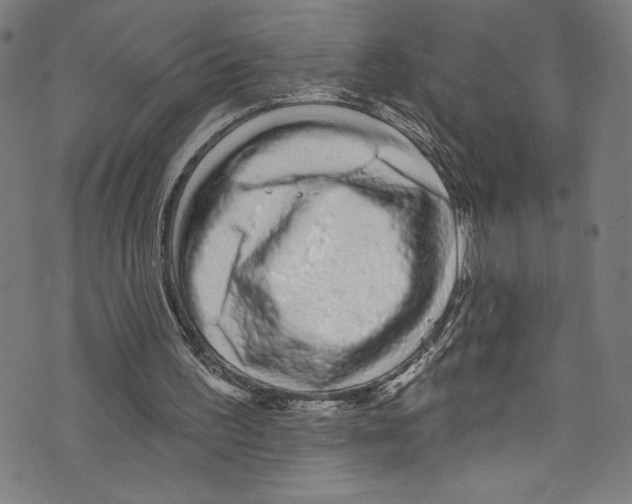 X0000072990195200608211524