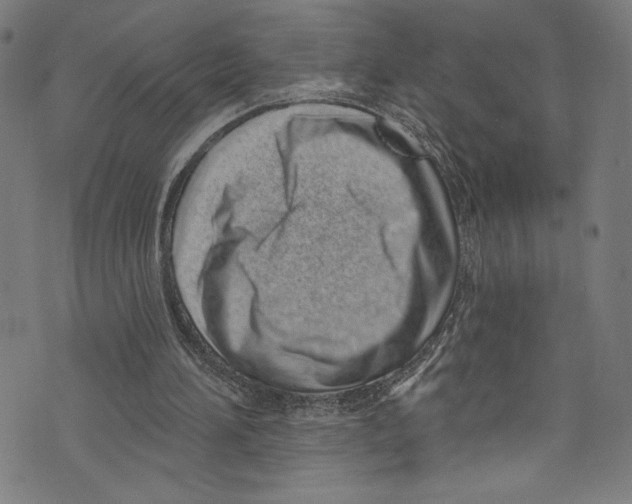 X0000072990196200608211524