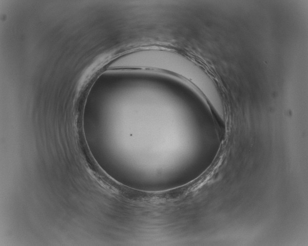 X0000072990197200608211524