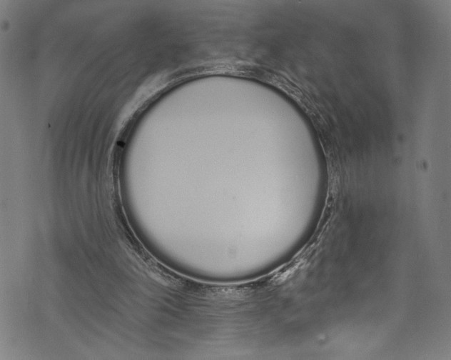 X0000072990198200608211524