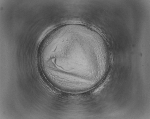 X0000072990199200608211524