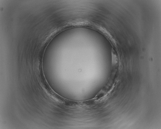 X0000072990201200608211524