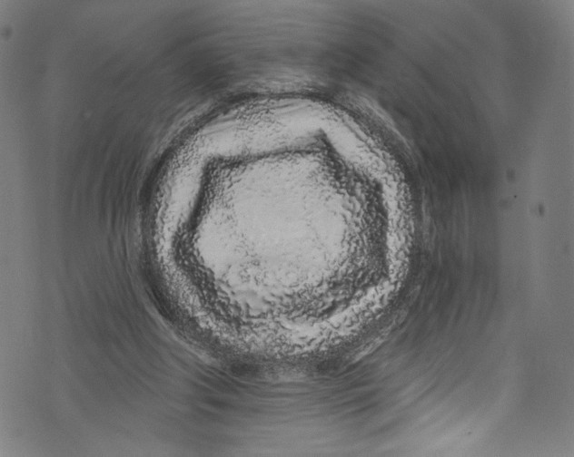 X0000072990202200608211524