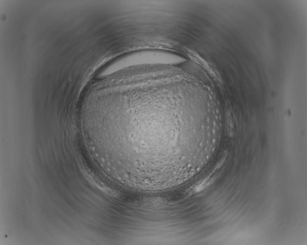 X0000072990203200608211524