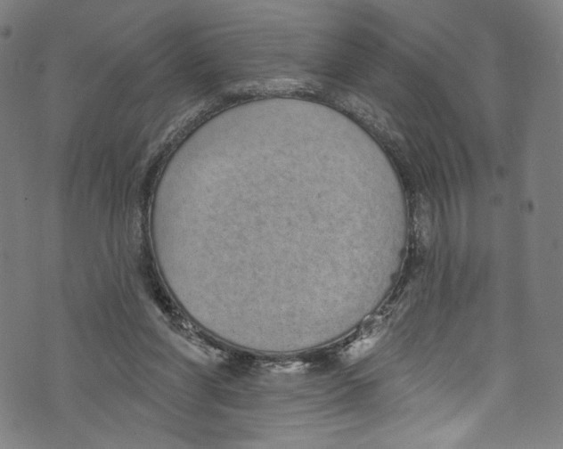 X0000072990206200608211524