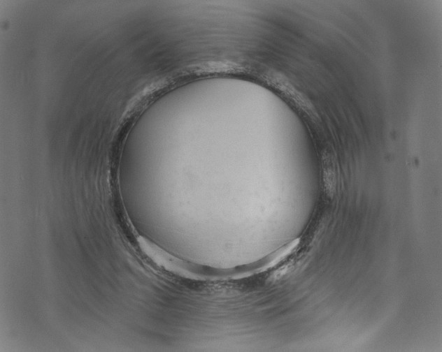 X0000072990207200608211524