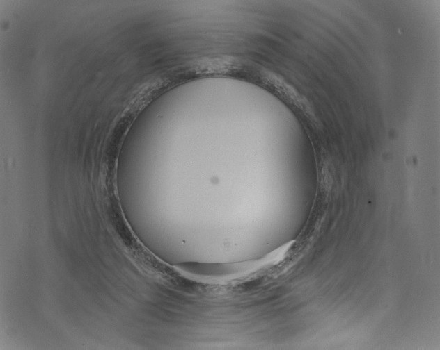 X0000072990209200608211524