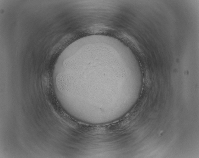 X0000072990210200608211524