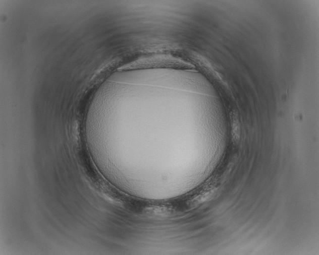 X0000072990211200608211524