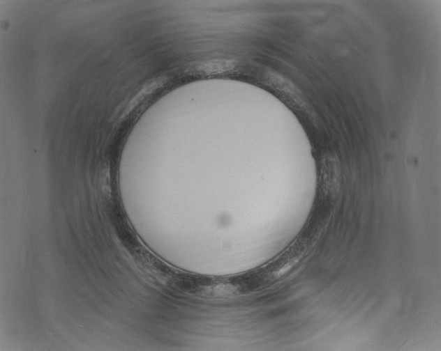 X0000072990212200608211524