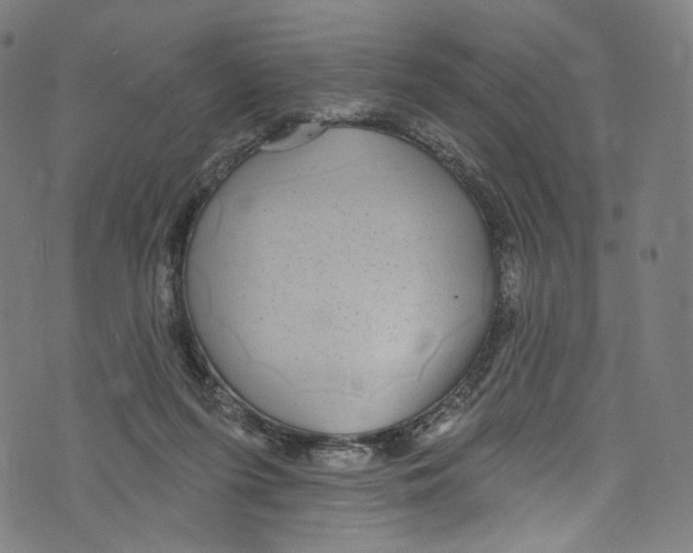 X0000072990215200608211524