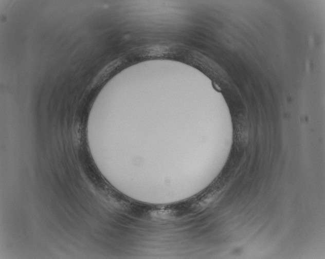 X0000072990216200608211524